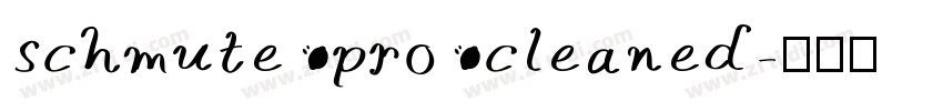 schmute pro cleaned字体转换